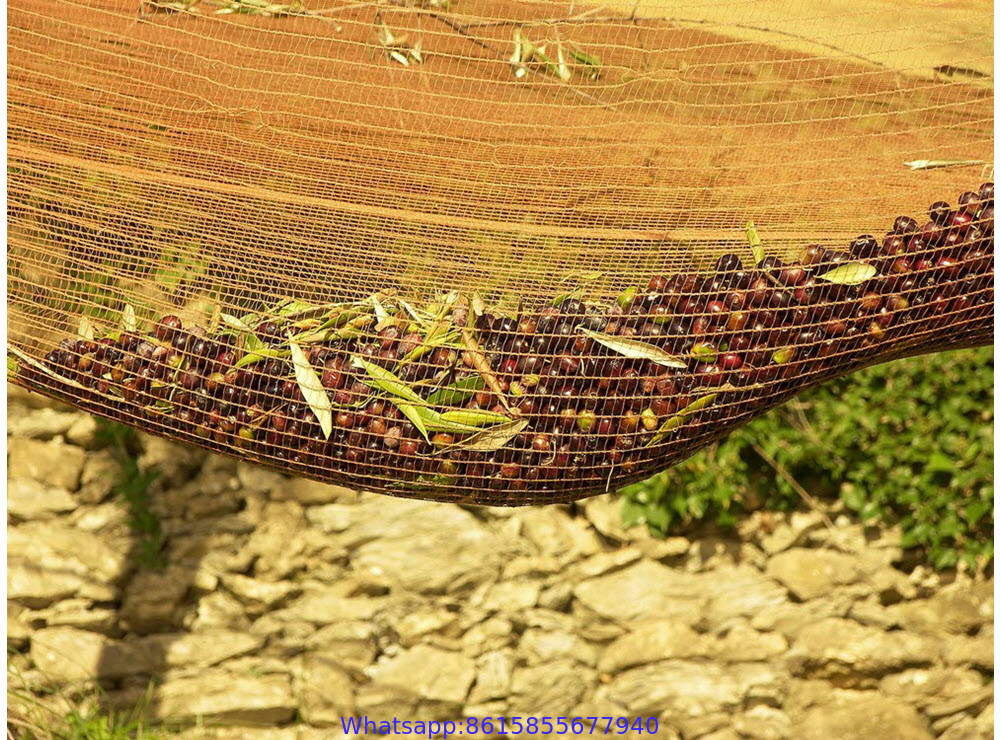 Olive Picking Nets, Fruit Harvest Net