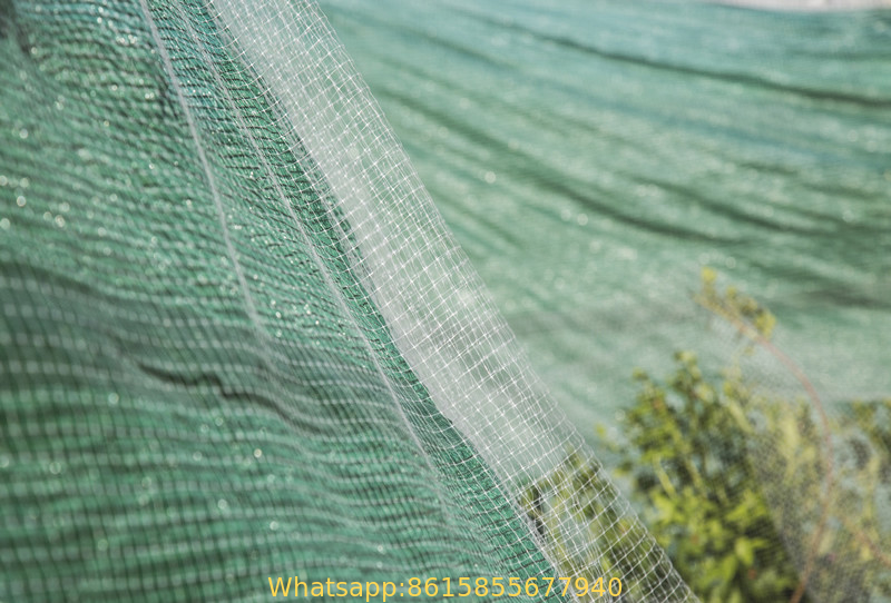 Plastic Net Fence 2m x 100m Garden Fencing Crop Pond Vegetable Protection -Bird Netting, Fruit Cages, Dog Barrier