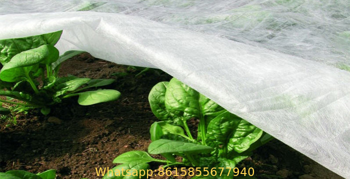 PP Nonwoven for Agriculture