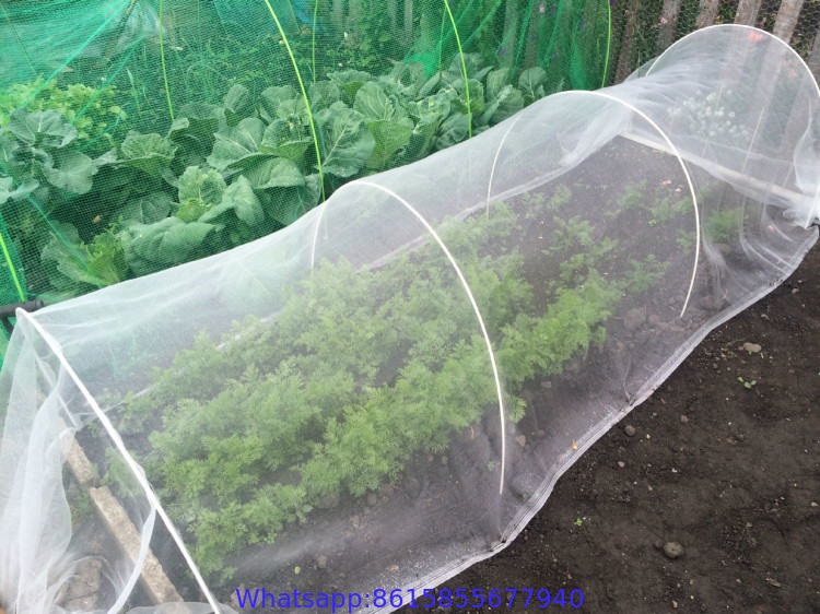 40mesh white anti Insect Net for greenhouse