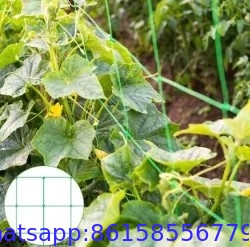 HDPE Orchard Plastic Support Trellis Net Vegetable Net Garden Tomato Climbing Net for Creeper Plants Crop