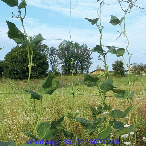 Trellis Netting Plant Support Net Lattice Panel