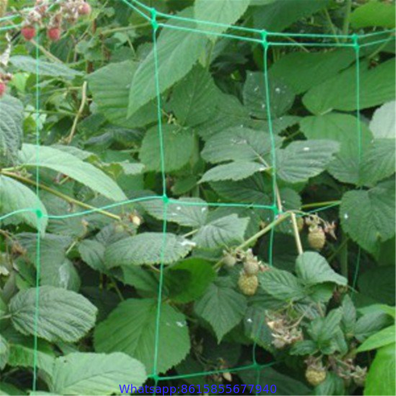 Netting Garden Durable Nylon Trellis Net Support Climbing Plant Vine Support