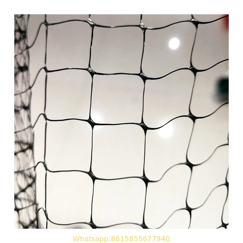 Bop Stretched PP Net for Anti Bird Netting for Garden Protect