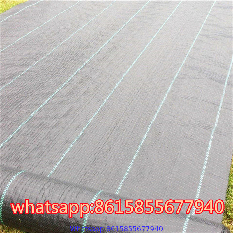 Landscape Fabric - Weed Barrier Cloth supplier in China