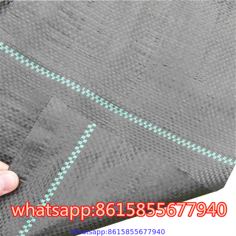 PP Ground Cover is also called anti grass cloth, weed control fabric, anti weed mat, weed barrier.