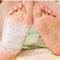 FDA approval Detox Foot Patch supplier