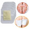 Chinese Wholesale Detox Foot Patch/Bamboo Vinegar Detox Pad, Health &amp; Comfortable supplier
